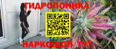 jwh Балашиха