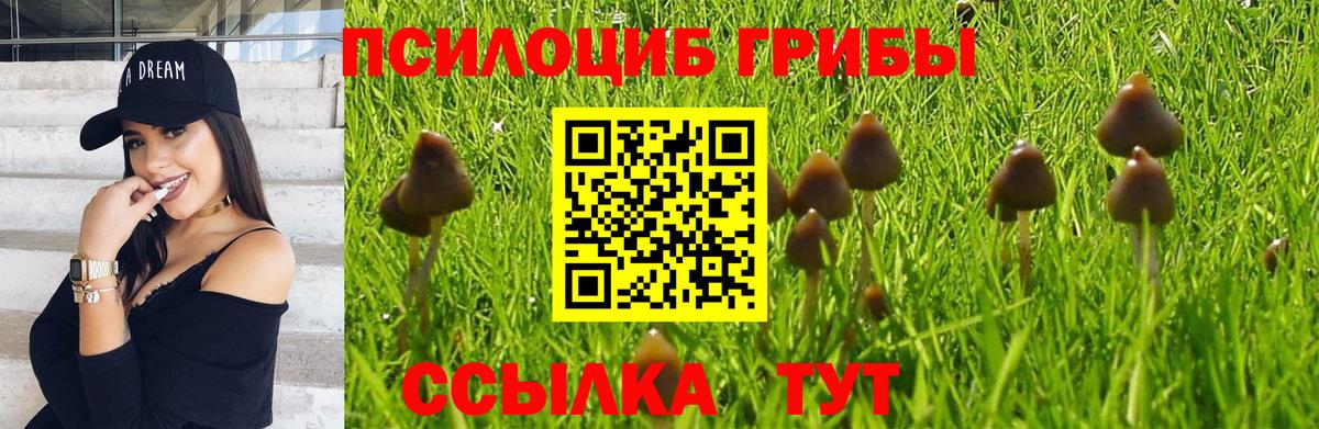 Галлюциногенные грибы Cubensis Дивногорск